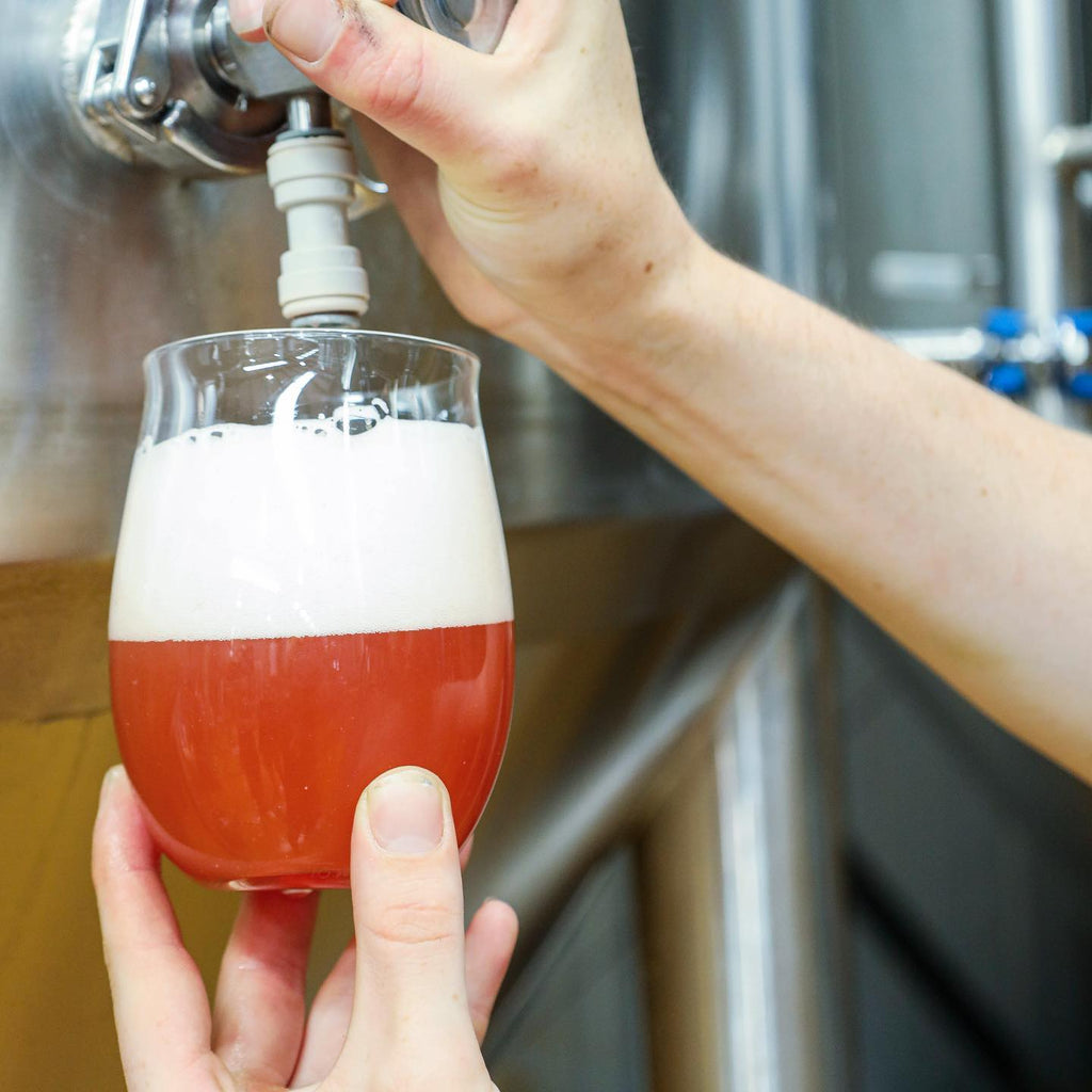 What is a Modern Sour beer?